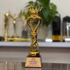 cup-vinh-danh-9